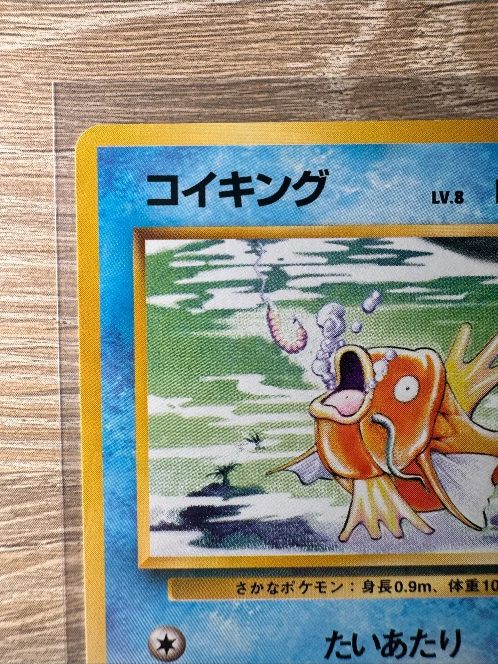 Magikarp #129/Pokemon Japanese Expansion Pack